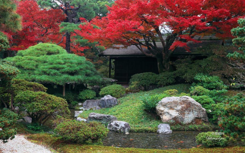 Hidden Inn Shimogamo Kyoto Extérieur photo